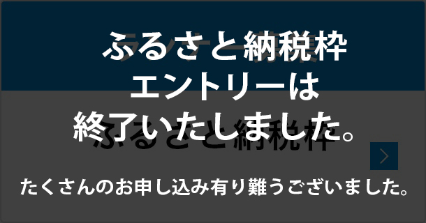 ランナー募集 ふるさと納税枠